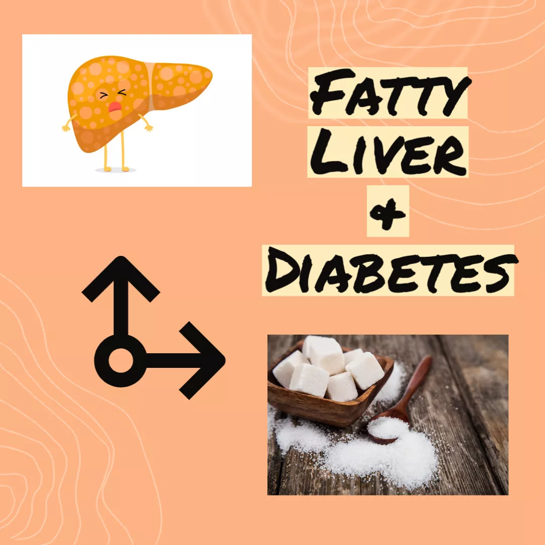 Diabetes ↔ Fatty Liver
