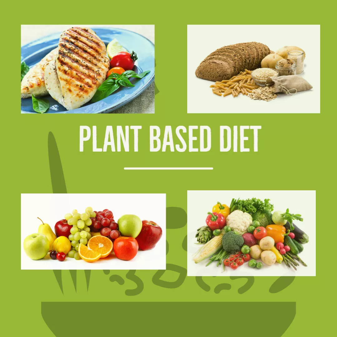 Plant Based Diet