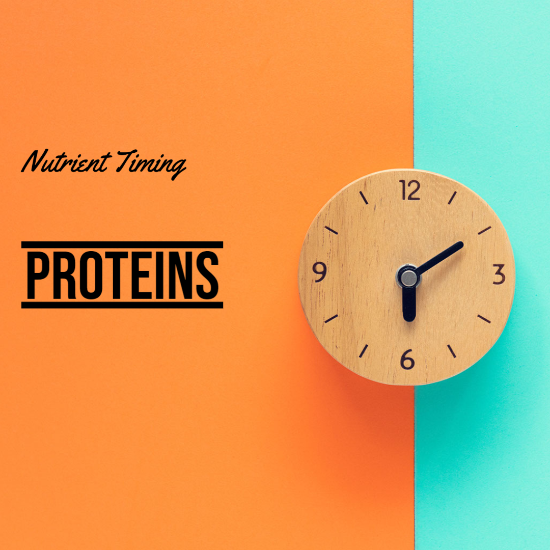 Timing Your Proteins