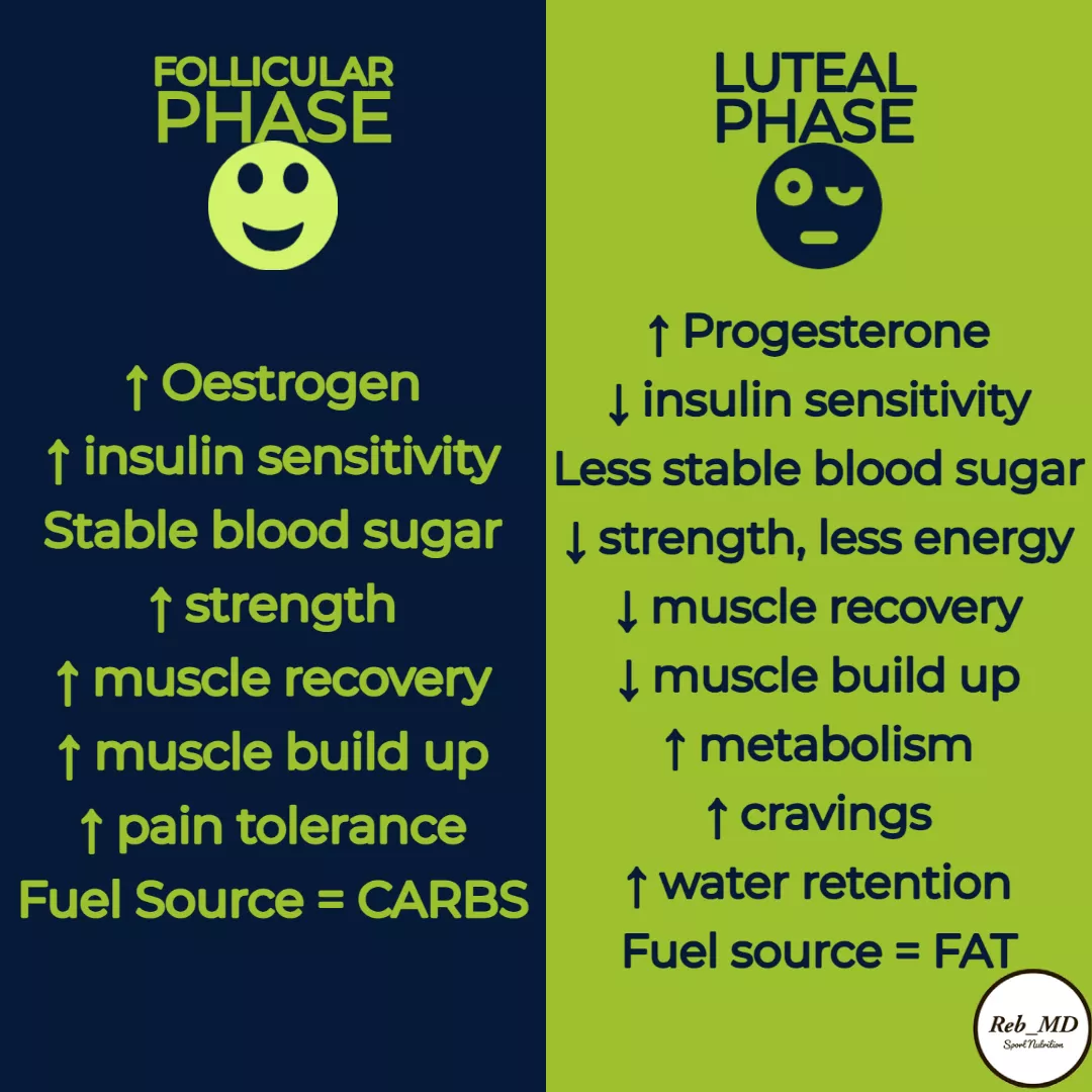 Follicular vs. Luteal Phase